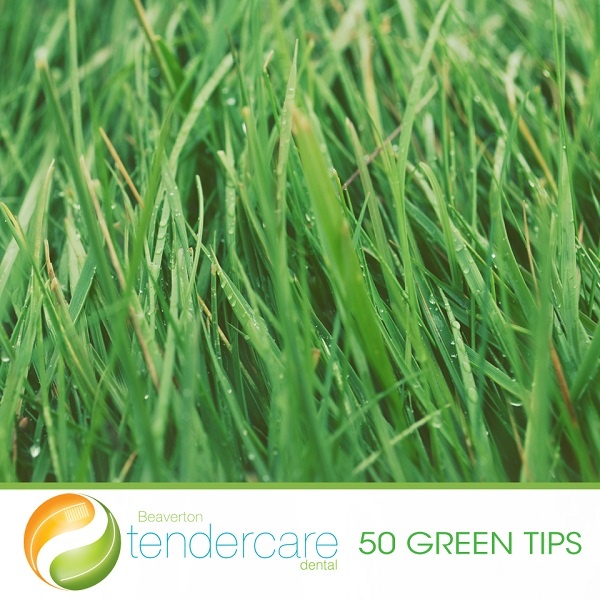50 Green Tips for Everyday Life. Dentist in Beaverton, OR. Dr. Lennie D. Wong, DMD, FAGD, Dr. Maikhanh (MK) Tran, DMD. Beaverton TenderCare
